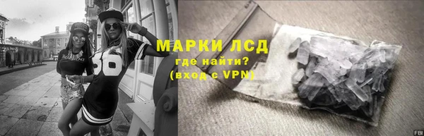 трава Гусиноозёрск