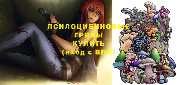 ПСИЛОЦИБИНОВЫЕ ГРИБЫ Приозерск