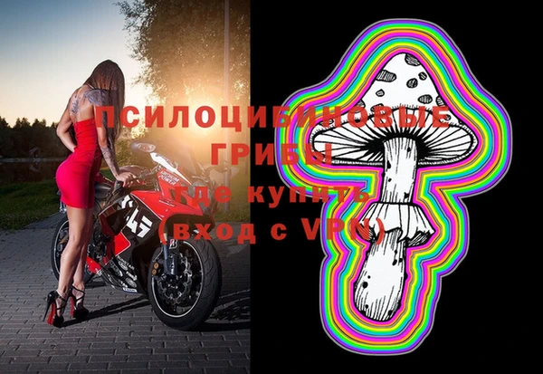 соль курить ск Рославль