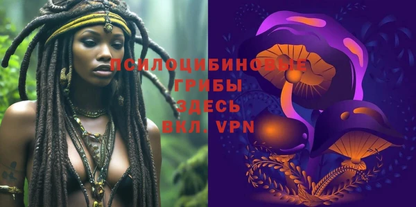 амф Гусь-Хрустальный