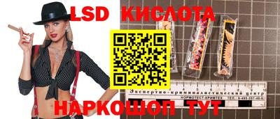 дурь Камышлов