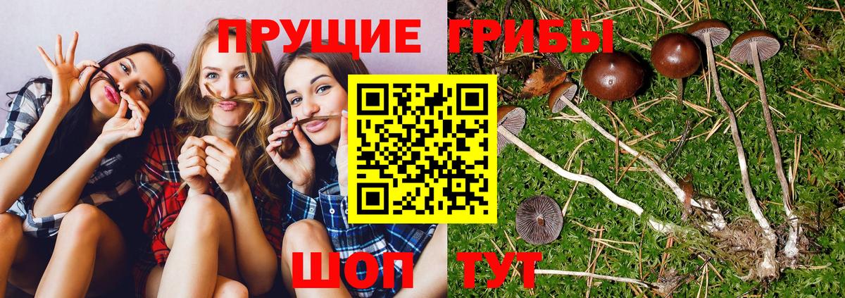 Псилоцибиновые грибы Magic Shrooms Елец