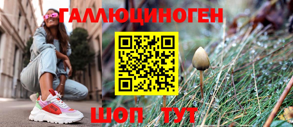 Галлюциногенные грибы Cubensis  где найти   Елец  Вход с VPN 
