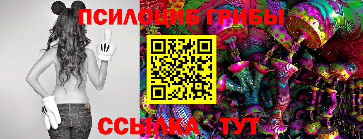 Псилоцибиновые грибы Cubensis  Елец 