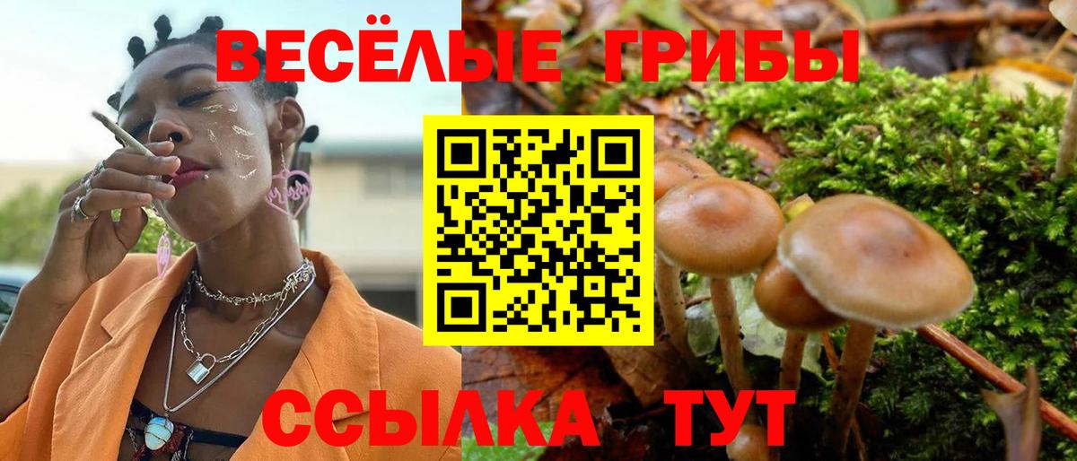 Псилоцибиновые грибы Magic Shrooms Елец